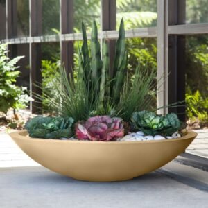 Modern Low Bowl Planters
